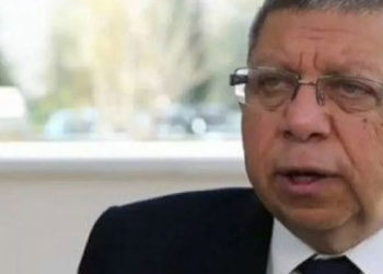 Cumhurbaşkanı başdanışmanı Çevik: Erdoğan büyükelçiler konusunda çok kararlı