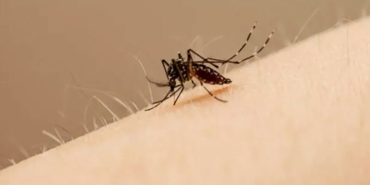 DSÖ: 20 milyondan fazla Yemenli sıtmaya yakalanma riski altında