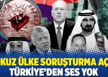Dokuz &uuml;lke soruşturma a&ccedil;tı, T&uuml;rkiye&rsquo;den ses yok