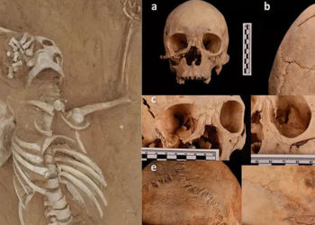 Dünyanın en eski cinayet vakası çözüldü