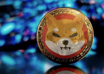 Elon Musk'ın paylaşımının ardından SHIB isimli alt coin yüzde 400'e yakın değer kazandı