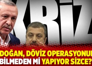 Erdoğan, d&ouml;viz operasyonunu bilmeden mi yapıyor sizce?