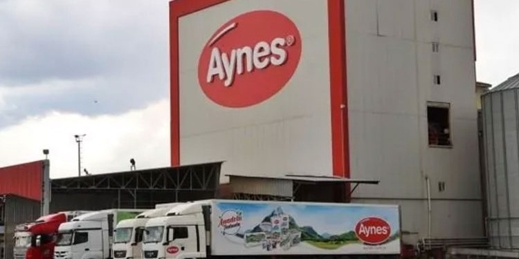 Gasp edilen Aynes Gıda, TMSF tarafından yok pahasına satılıyor