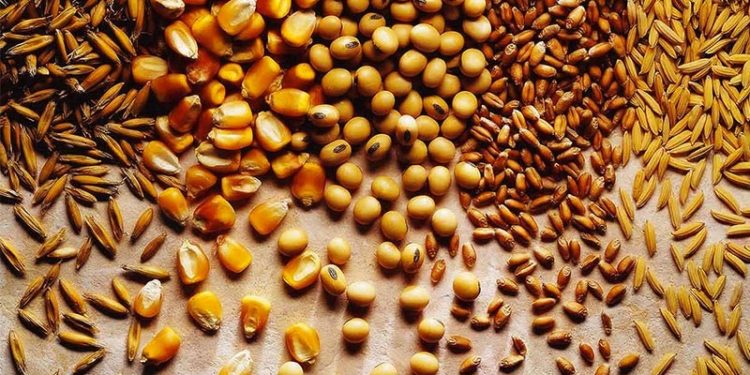 Gümrük vergisi sıfırlanmıştı: Türkiye, yeni arpa ithalatı ihalesi açtı