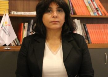 HDK Eşsözcüsü Demir: Karanlık gidişata karşı güçlerimizi birleştirmeliyiz