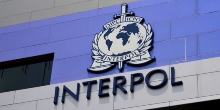 Independent Arabia: ‘Erdoğan muhalifleri avlamak için İnterpol’u kullanmaya çalışıyor’