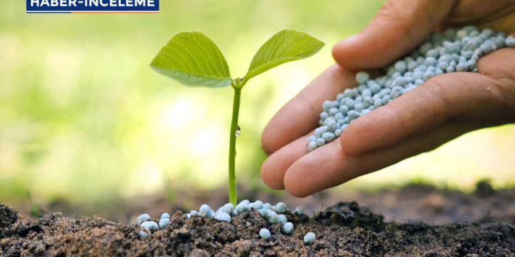 Kapıdaki tehlike: Kıtlık!