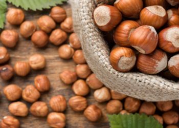 Karadenizli fındık üreticisinin sorunları Fransız medyasına gündem oldu