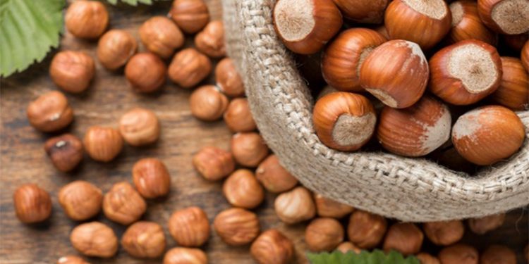 Karadenizli fındık üreticisinin sorunları Fransız medyasına gündem oldu