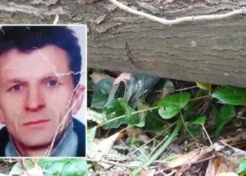 Kestiği ağaç hayatına mal oldu