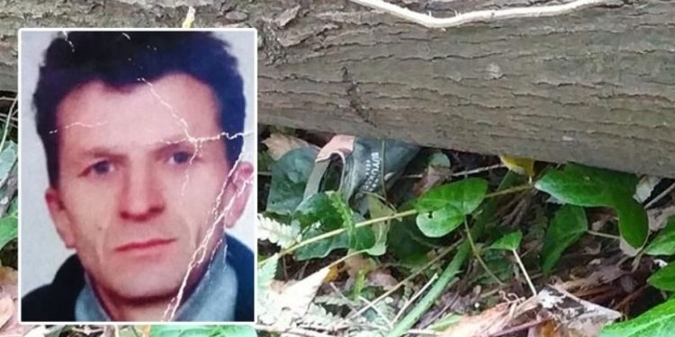 Kestiği ağaç hayatına mal oldu