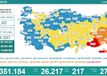 Koronavirüsten 217 kişi hayatını kaybetti