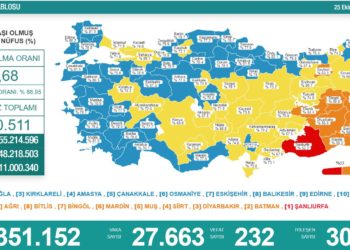 Koronavirüsten 232 kişi hayatını kaybetti