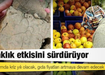 Kuraklık etkisini sürdürüyor: 2022 tarımda kriz yılı olacak, gıda fiyatları artmaya devam edecek