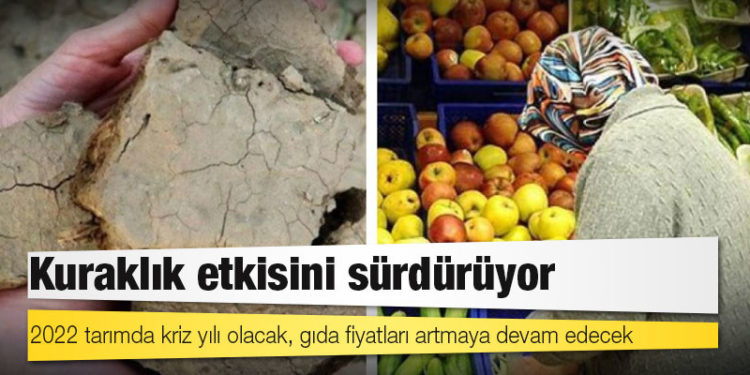 Kuraklık etkisini sürdürüyor: 2022 tarımda kriz yılı olacak, gıda fiyatları artmaya devam edecek