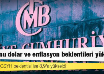 Merkez Bankası'nın anketinde yıl sonu dolar ve enflasyon beklentileri yükseldi