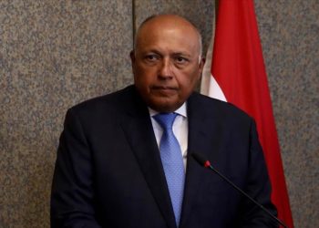 Mısır Dışişleri Bakanı Şukri: Türkiye ile ilişkiler gelişme kaydetti