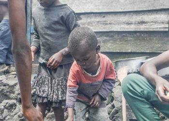 Nijerya'da 10 milyondan fazla yerinden edilmiş kişi gıda güvensizliğiyle karşı karşıya