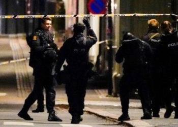 Norveç'te beş kişiyi okla öldüren saldırganın akıl sağlığı inceleniyor