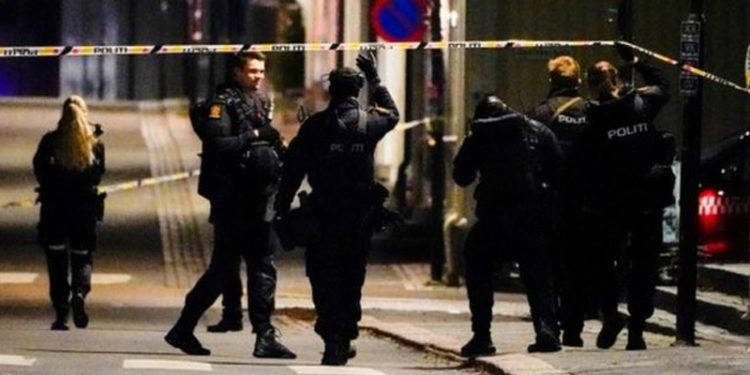 Norveç'te beş kişiyi okla öldüren saldırganın akıl sağlığı inceleniyor