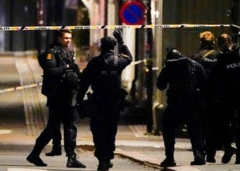 Norveç'te oklu saldırı: 5 ölü