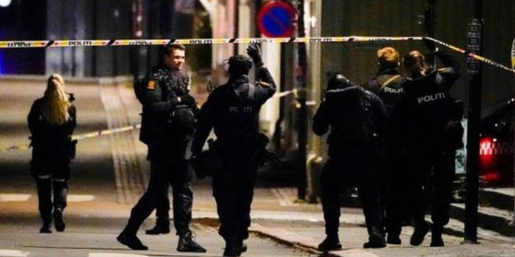 Norveç'te oklu saldırı: 5 ölü