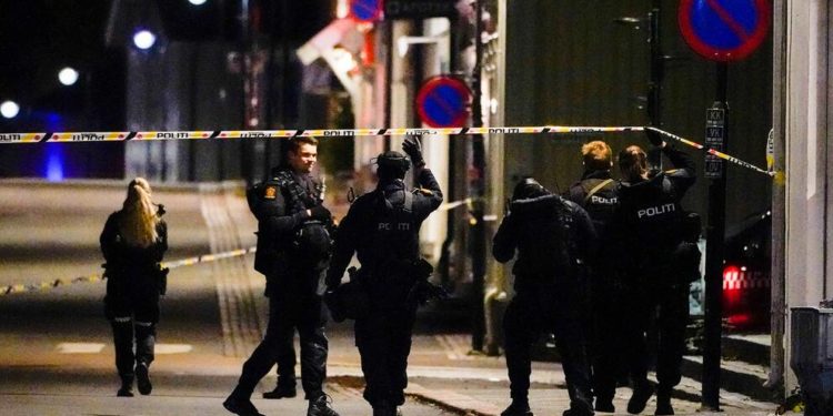 Norveç’te ‘oklu’ saldırı: En az 5 kişi hayatını kaybetti