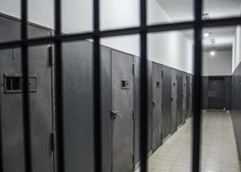 Oluç'tan Meclis'e çağrı: Sincan, Şakran ve Kürkçüler cezaevleri acil ziyaret edilmeli