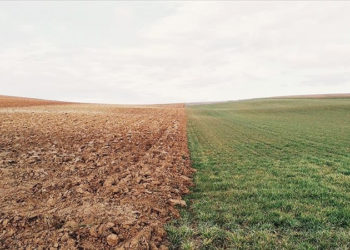 Reuters: Türkiye, Paris İklim Anlaşması hükümlerini uygulaması için 3,1 milyar euro kredi alabilir