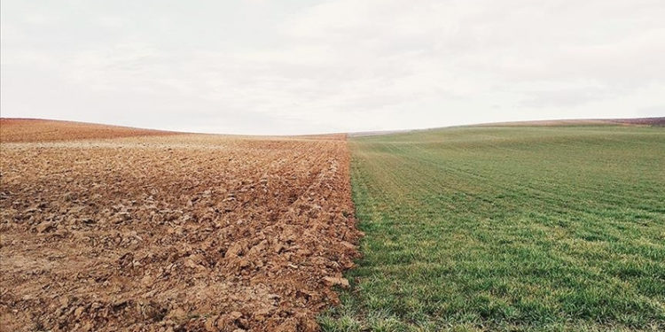 Reuters: Türkiye, Paris İklim Anlaşması hükümlerini uygulaması için 3,1 milyar euro kredi alabilir
