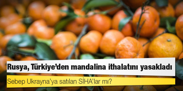 Rusya, Türkiye’den mandalina ithalatını yasakladı: Sebep Ukrayna’ya satılan SİHA’lar mı?