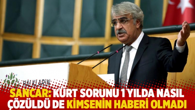 Sancar: Kürt sorunu 1 yılda nasıl çözüldü de kimsenin haberi olmadı