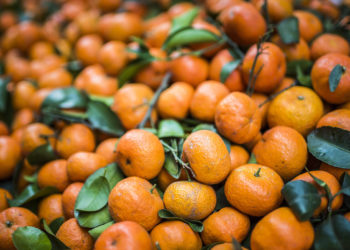 Sebep Ukrayna’ya satılan SİHA’lar mı? Rusya, Türkiye’den mandalina ithalatını yasakladı