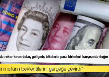 TL karşısında rekor kıran dolar, gelişmiş ülkelerin para birimleri karşısında değer kaybetti