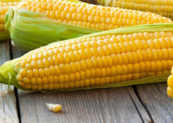 TMO, uluslararası ihaleyle 325 ton mısır aldı