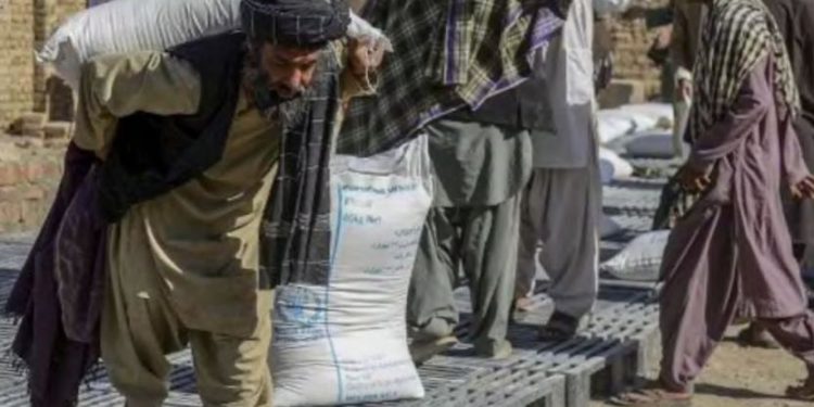 Taliban, işçilere maaş yerine buğday verecek