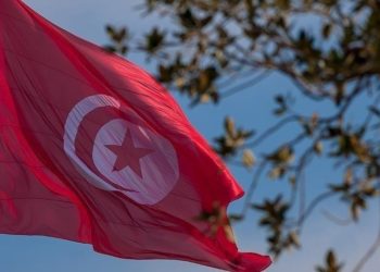 Tunus Dışişleri Bakanlığı'ndan, "ülkenin içişlerine müdahale edilmesi çağrılarına" kınama