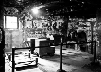 FETÖ’yü Fırına Atalım