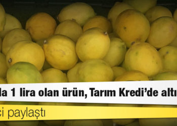 Üretici paylaştı: Tarlada 1 lira olan ürün, Tarım Kredi’de altı katı