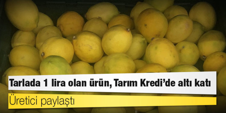 Üretici paylaştı: Tarlada 1 lira olan ürün, Tarım Kredi’de altı katı