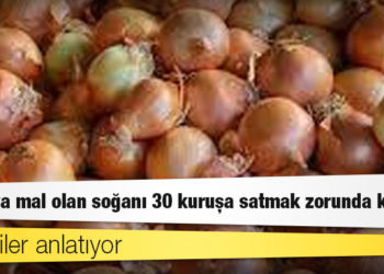 Üreticiler anlatıyor: 1 liraya mal olan soğanı 30 kuruşa satmak zorunda kaldık