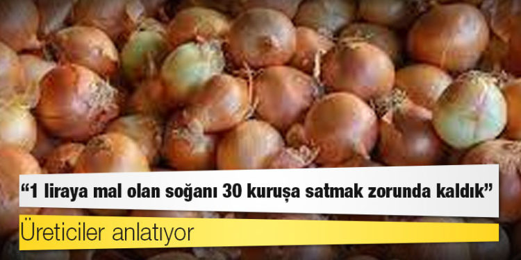 Üreticiler anlatıyor: 1 liraya mal olan soğanı 30 kuruşa satmak zorunda kaldık