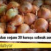 Üreticiler anlatıyor: 1 liraya mal olan soğanı 30 kuruşa satmak zorunda kaldık