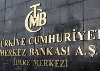 İktisatçı Bilsay Kuruç: Ekonomik modelin bütün günahı TCMB'nin üzerine kaldı