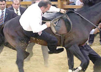 “Türk ekonomisi sarhoş bir kovboyun sürdüğü temkinli yaşlı bir at gibi”