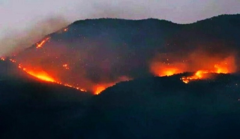 Şırnak’ta son 6 ayda ‘güvenlik’ gerekçesiyle 31 yangın çıkarıldı