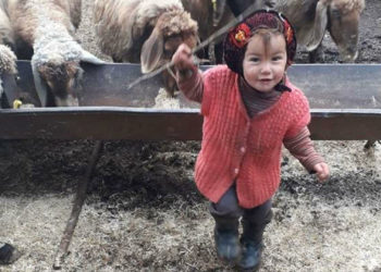 10 gündür aranan 2,5 yaşındaki Müslüme’nin cansız bedenine ulaşıldı