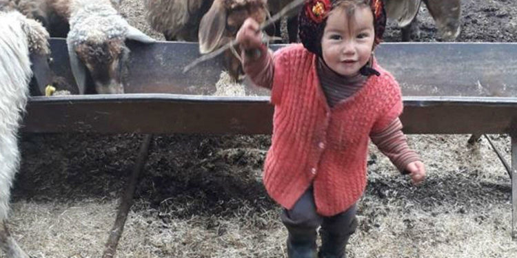 10 gündür aranan 2,5 yaşındaki Müslüme’nin cansız bedenine ulaşıldı