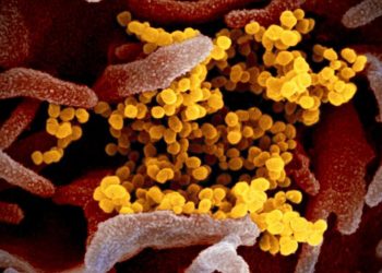 Omicron’u Güney Afrika’da ilk tespit eden doktor: Semptomlar olağan dışı ama hafif