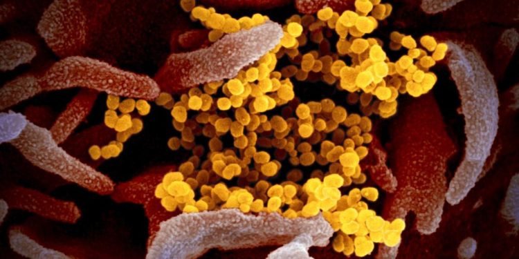 Omicron’u Güney Afrika’da ilk tespit eden doktor: Semptomlar olağan dışı ama hafif